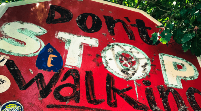 Dzień 1 – Camino de Santiago